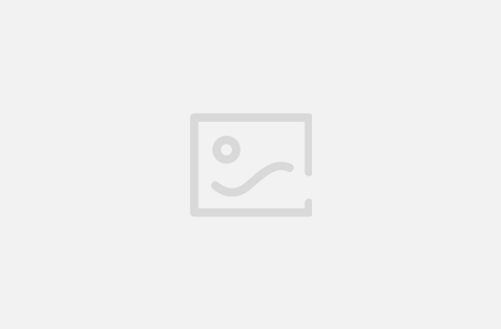 World Vector Logo